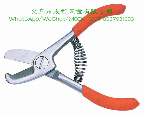 Pruning fruit scissors.